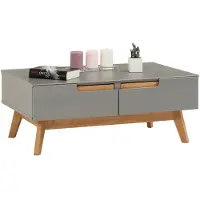 Idimex Table Basse Tibor Style Scandinave Design Vintage Nordique Table De Salon Rectangulaire 2 Tiroirs 2 Niches En Pin Massif Lasur? Gris