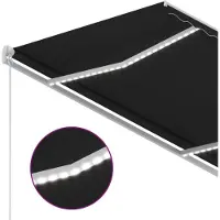 vidaXL Store manuel rétractable avec LED 350x250 cm Anthracite