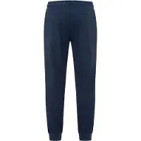 U.s. polo assn. Pantalon bleu marine