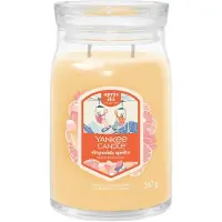 Yankee candle Slopeside Spritz bougie parfumée Signature 567 g