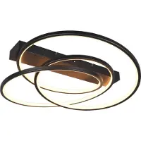 TRIO -Leuchte Plafonnier à LED Darvin 34W blanc chaud-blanc neutre