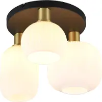 TRIO Plafonnier tendance Diva avec verre blanc