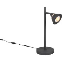 TRIO 230561142 MACKENZIE Applique murale LED SMD 8 W/800 lm 3000 K IP54 Anthracite