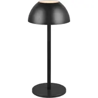 RL LIVE YOUR LIGHT Lampe de table LED sans fil RICARDO, noire, 2 W, blanc chaud, 240 lm, plastique, dimensions : 30 x 13,5 x 13,5 cm, IP54,