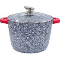 ROYAL SWISS Autocuiseur en aluminium de 30 litres de