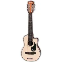 Bontempi Spa Guitare folk