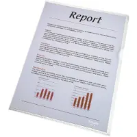 Esselte Pochette transparente Standard Plus (A4, 100x)