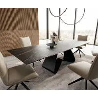 DELIFE Table à manger Edge 200-300x100 céramique LaminamNoir Desir marron cadre en W noir extensible