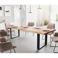 DELIFE Table à manger Edge 280x100 XL acacia nature patin noir Live-Edge