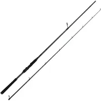 Savage Gear Canne Spinning Defiance Sg4 Inshore