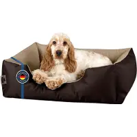 BedDog Lupi Lit Pour Chien, Panier Corbeille, Coussin De Chien [M Env. 70x55cm, Melange (Brun/Beige)]