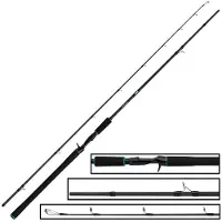 Salmo Canne Baitcasting Trollmaster