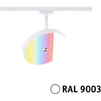 Paulmann Spot LED URail, modèle Hildor