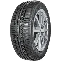 Yokohama Pneu Yokohama BluEarth-Winter (V906) ( 225/50 R19 100V XL BluEarth )