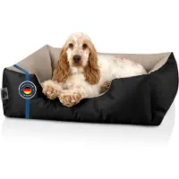 BedDog Lit pour chien LUPI Coussin pour chien lavable,NAMIB-BLACK (noir/beige),(S) ca. 55x40x17cm