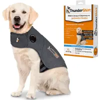 Thundershirt pour chien