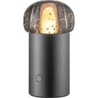 Blomus Lampe mobile -IRIS- Gun Metal