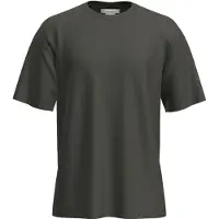 Icebreaker Merino 150 Tech Lite Relaxed Short Sleeve T-shirt Vert L Homme