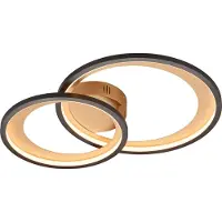 TRIO Leuchten - Plafonnier design I Lampe de plafond I Lampe I noir avec or I laiton 59 cm incl. LED et variateur - Anita Dimmer I Dimmable I Salon I Chambre à coucher - Acier Rond - I (non