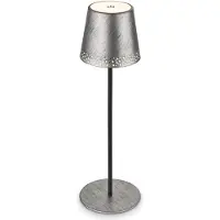Briloner Lampe de table LED rechargeable Lampe de table r glable en hauteur IP44 argent RGB int rieur ext rieur