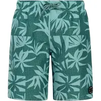 Protest William Swimming Shorts Vert 176 cm Garçon