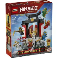 LEGO NINJAGO 71866 15e anniversaire : Collection des personnages Ninjas