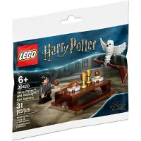LEGO Harry Potter - Harry Potter et Hedwig : livraison de hiboux (30420, Harry Potter)