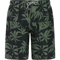 Protest William Swimming Shorts Vert,Noir 176 cm Garçon