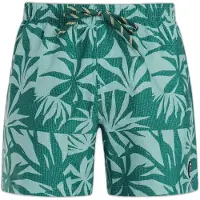 Protest Panther Swimming Shorts Vert,Bleu S Homme