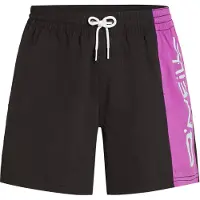 O'Neill Retro 14´´ Swimming Shorts Noir M Homme