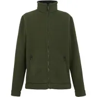 Regatta Garrian Ii Fleece Vert 5XL Homme