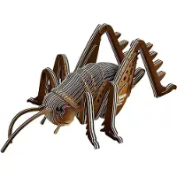 Eugy Weta - Insecte géant - Puzzle 3D écologique