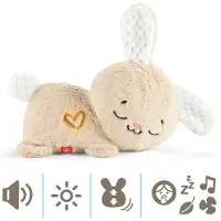 Fisher-Price FP Sleeping Bunny Dormeuse pour bébé HXG97