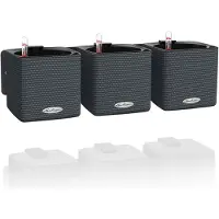 Lechuza 3 pcs Jardinières Green Wall Home Kit Ardoise