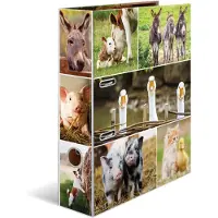 Herma Dossier A4 Motif (A4, 70 mm, 1 pcs)