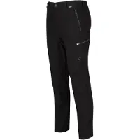 Regatta Highton Shorts Noir 36 / Regular Homme