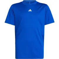 Adidas T-Shirt fonctionnel 'Essentials' bleu / blanc