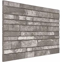 vidaXL Panneaux muraux , lot de 10, gris foncé, 100 x 50 cm, mousse EPS
