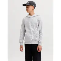 Jack & Jones Junior Sweat 'JJECorp' gris clair