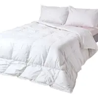 Homescapes Couette d'été légère 260 x 220 cm – Duvet d'oie haut de gamme, classe de chaleur 2