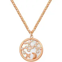 Hey Happiness Chaîne 'Stellar Sagittarius' or rose