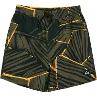 Quiksilver Everyday Printed Volley 14´´ Swimming Shorts Vert 16 Years Garçon