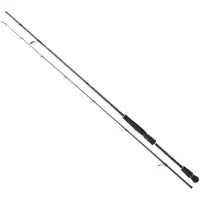 Daiwa Infeet Seabass Spinning Rod Argenté 3.05 m / 14-56 g