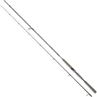 Daiwa Saltist Ags Iii Spinning Rod Noir 2.13 m / 14-42 g