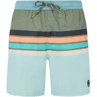 Protest Avik Swimming Shorts Vert M Homme
