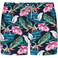 Bondi Joe Shorts de bain ' Roscoe Green ' bleu