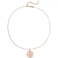 Hey Happiness Chaîne 'Sagittarius' or rose