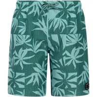 Protest William Swimming Shorts Vert 116 cm Garçon