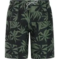 Protest William Swimming Shorts Vert,Noir 116 cm Garçon