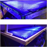 Red Sea DIY couverture d'aquarium en filet 150x80 cm